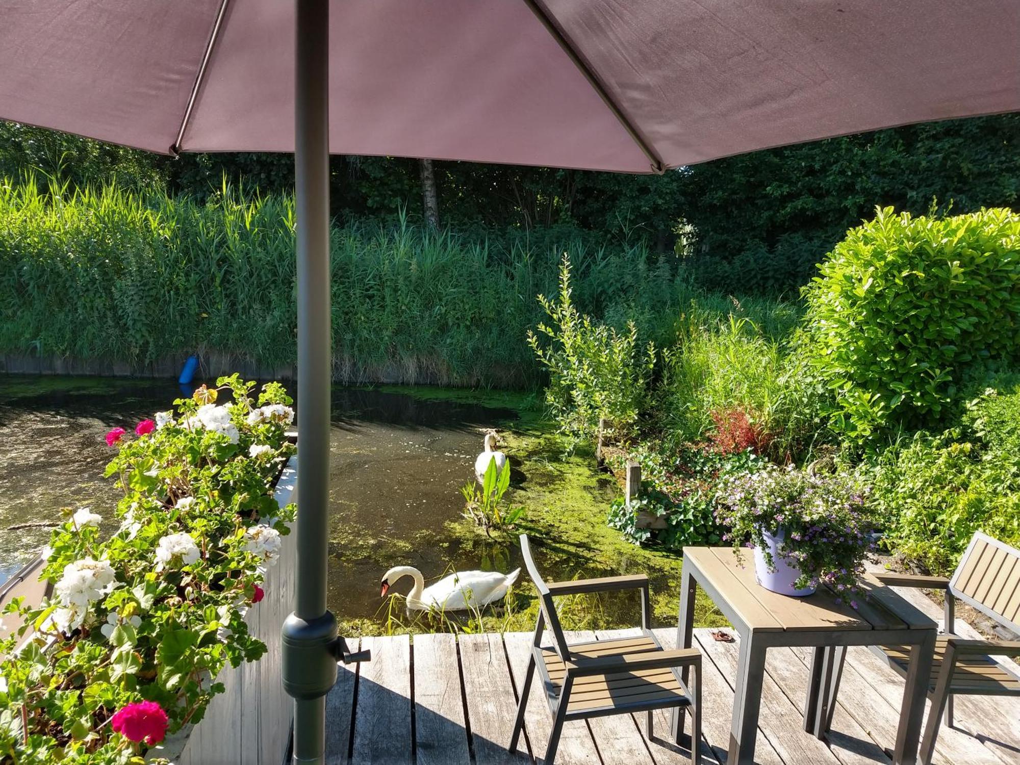 Het Waterhoentje Sint Jansklooster Extérieur photo