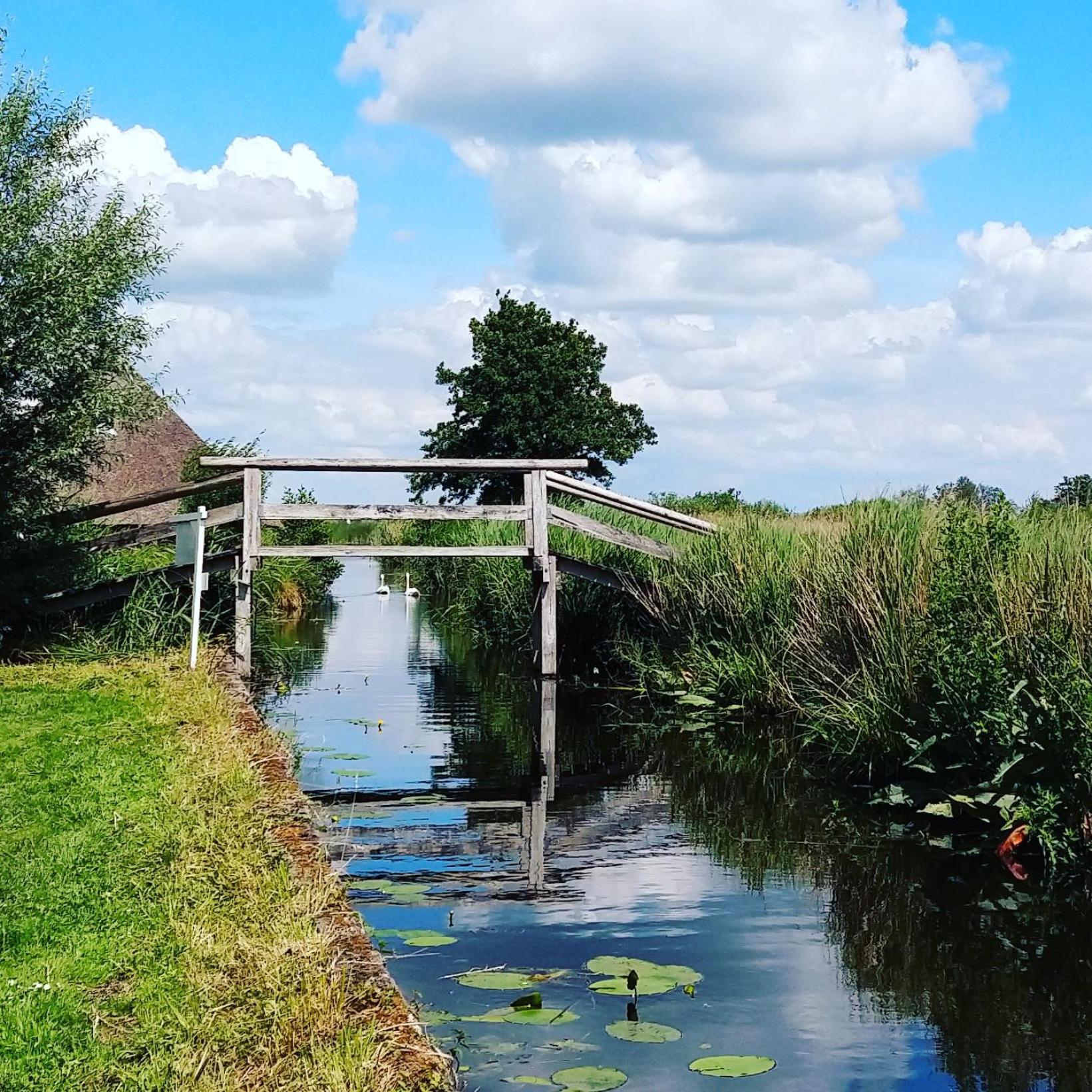 Het Waterhoentje Sint Jansklooster Extérieur photo